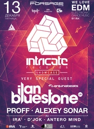 We Love EDM: Intricate Records Showcase